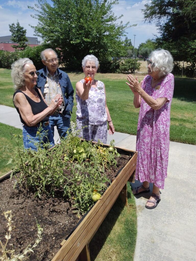 Clovis Gardening 2 2024