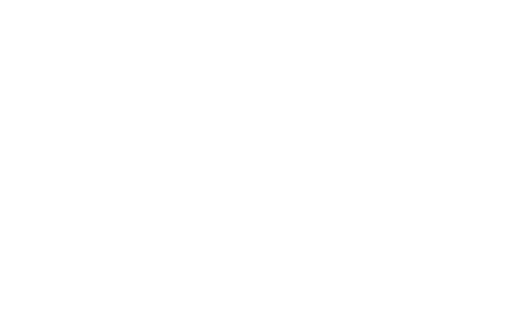sandy solstice logo white